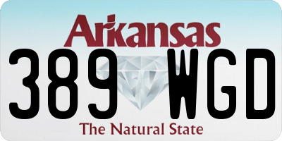 AR license plate 389WGD