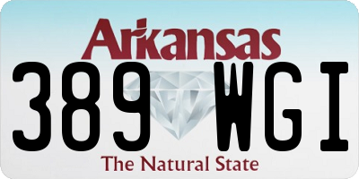 AR license plate 389WGI
