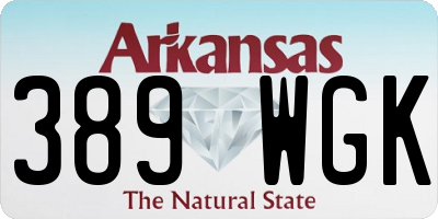 AR license plate 389WGK