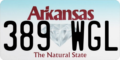 AR license plate 389WGL