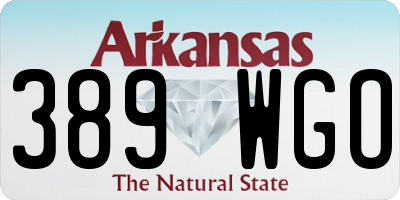 AR license plate 389WGO