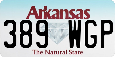 AR license plate 389WGP