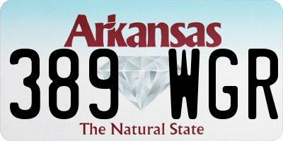 AR license plate 389WGR