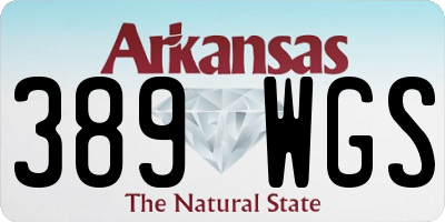 AR license plate 389WGS