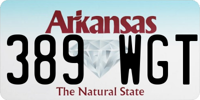 AR license plate 389WGT