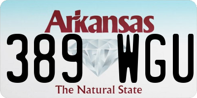 AR license plate 389WGU