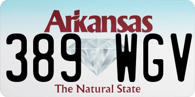 AR license plate 389WGV