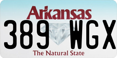 AR license plate 389WGX