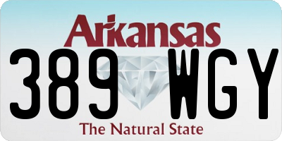 AR license plate 389WGY