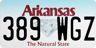 AR license plate 389WGZ