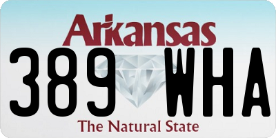 AR license plate 389WHA