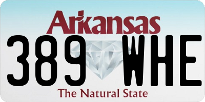 AR license plate 389WHE