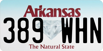 AR license plate 389WHN