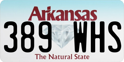 AR license plate 389WHS