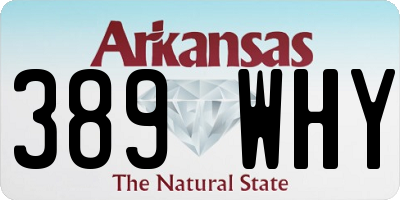 AR license plate 389WHY