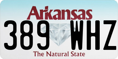 AR license plate 389WHZ