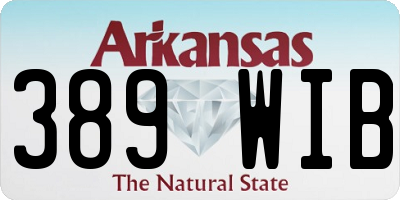 AR license plate 389WIB