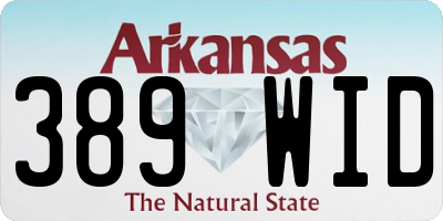 AR license plate 389WID