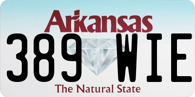 AR license plate 389WIE