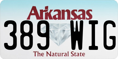 AR license plate 389WIG