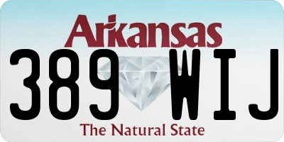 AR license plate 389WIJ
