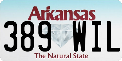 AR license plate 389WIL