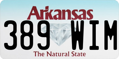 AR license plate 389WIM
