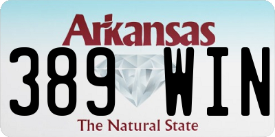 AR license plate 389WIN