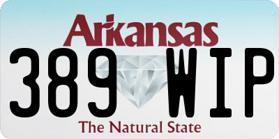 AR license plate 389WIP
