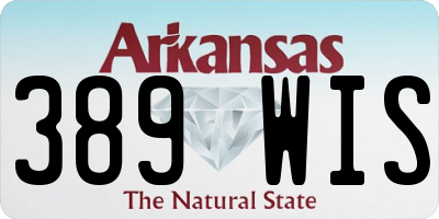 AR license plate 389WIS