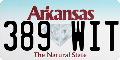 AR license plate 389WIT