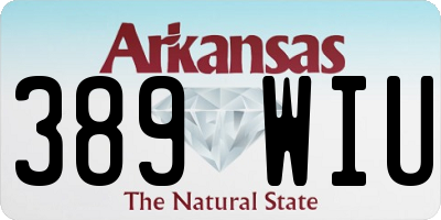 AR license plate 389WIU