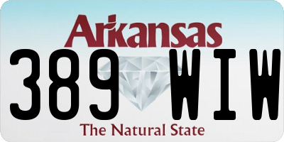 AR license plate 389WIW