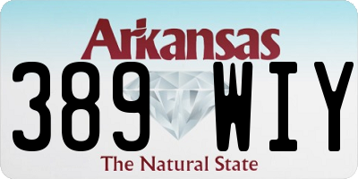 AR license plate 389WIY