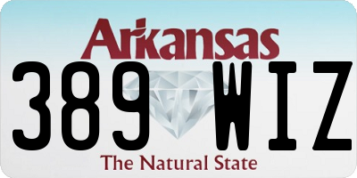 AR license plate 389WIZ