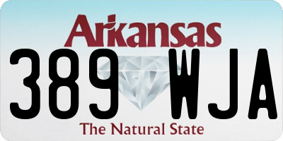 AR license plate 389WJA