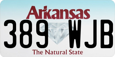 AR license plate 389WJB