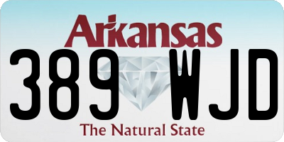 AR license plate 389WJD