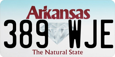 AR license plate 389WJE