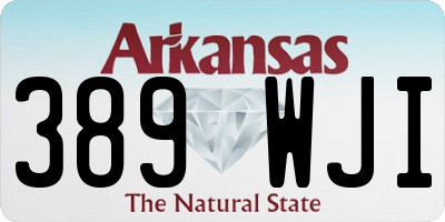 AR license plate 389WJI