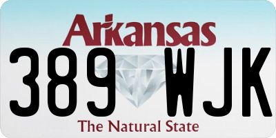 AR license plate 389WJK