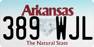 AR license plate 389WJL