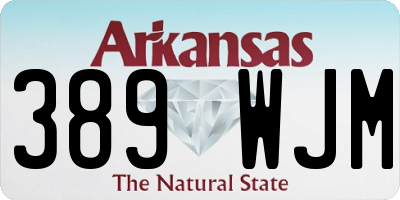 AR license plate 389WJM