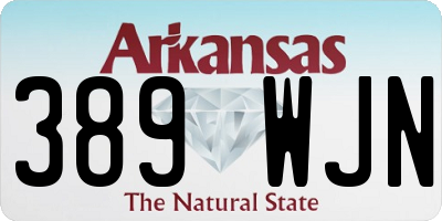 AR license plate 389WJN