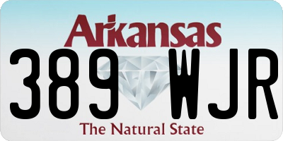 AR license plate 389WJR