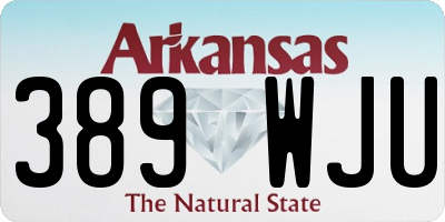AR license plate 389WJU