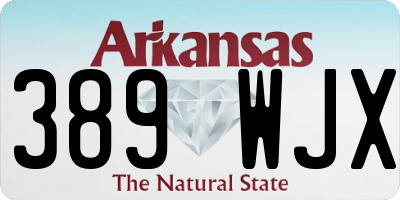 AR license plate 389WJX