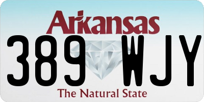 AR license plate 389WJY