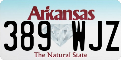 AR license plate 389WJZ