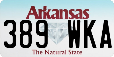 AR license plate 389WKA